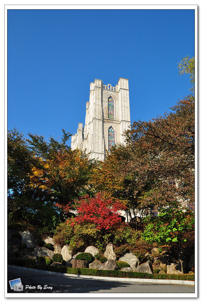 nEO_IMG_DSC_0035 nEO_IMG_DSC_0035