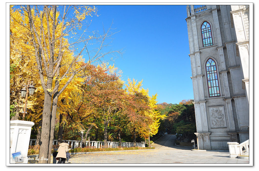 nEO_IMG_DSC_0046 nEO_IMG_DSC_0046