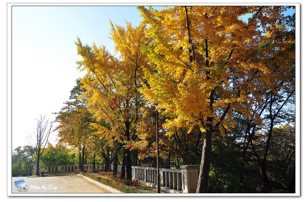 nEO_IMG_DSC_0066 nEO_IMG_DSC_0066