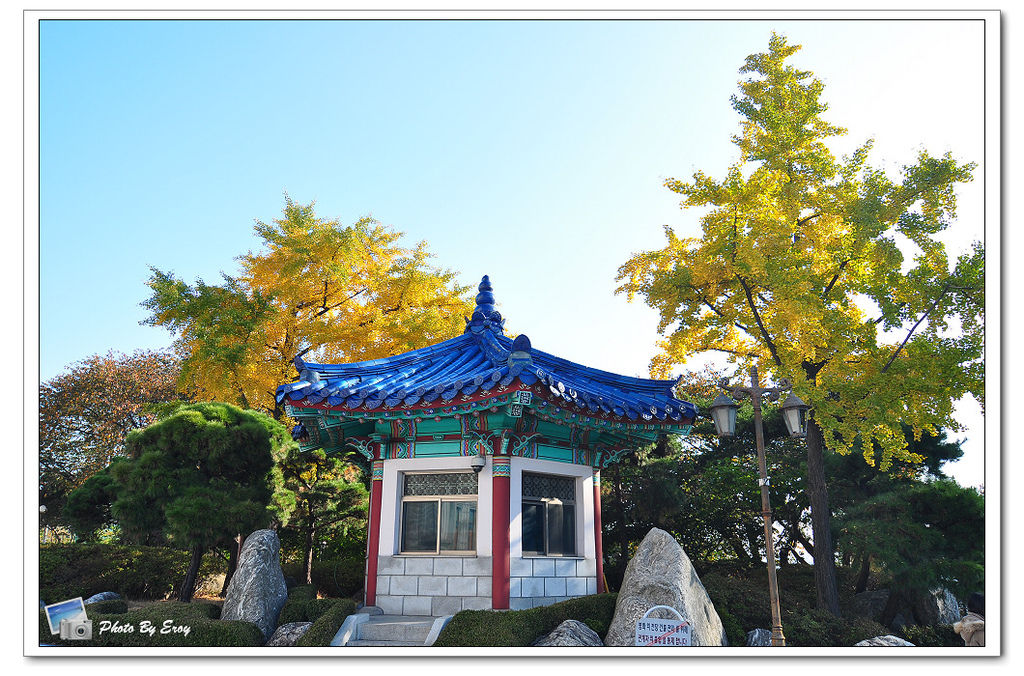 nEO_IMG_DSC_0070 nEO_IMG_DSC_0070