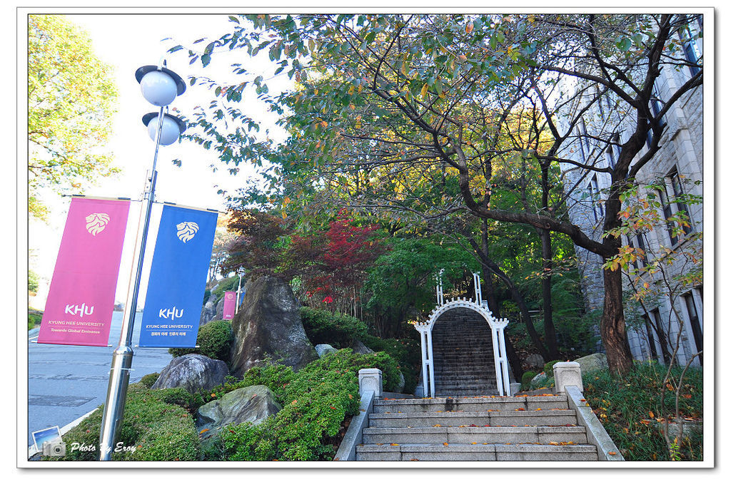 nEO_IMG_DSC_0077 nEO_IMG_DSC_0077