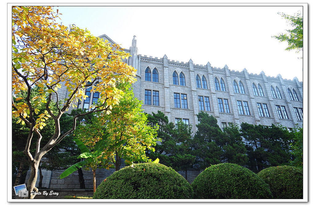 nEO_IMG_DSC_0080 nEO_IMG_DSC_0080