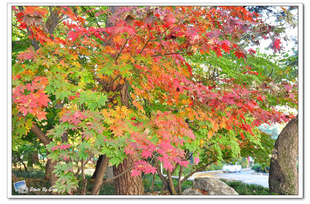 nEO_IMG_DSC_0082 nEO_IMG_DSC_0082