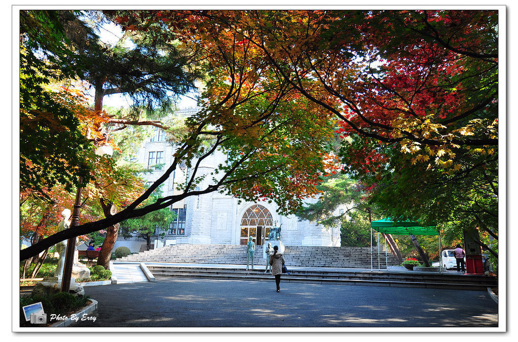 nEO_IMG_DSC_0092 nEO_IMG_DSC_0092