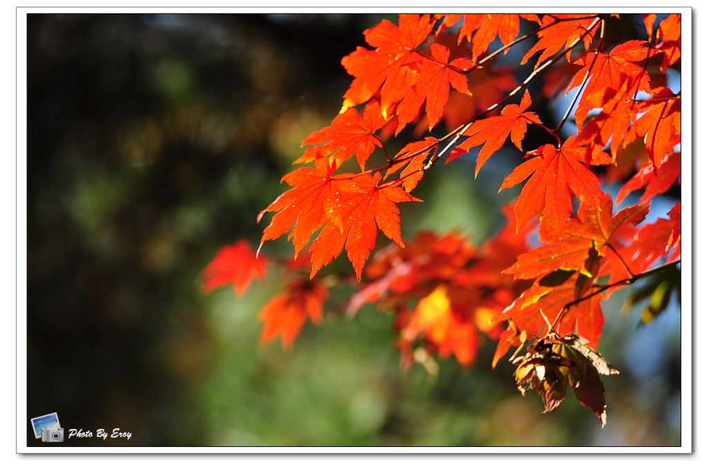 nEO_IMG_DSC_0097 nEO_IMG_DSC_0097