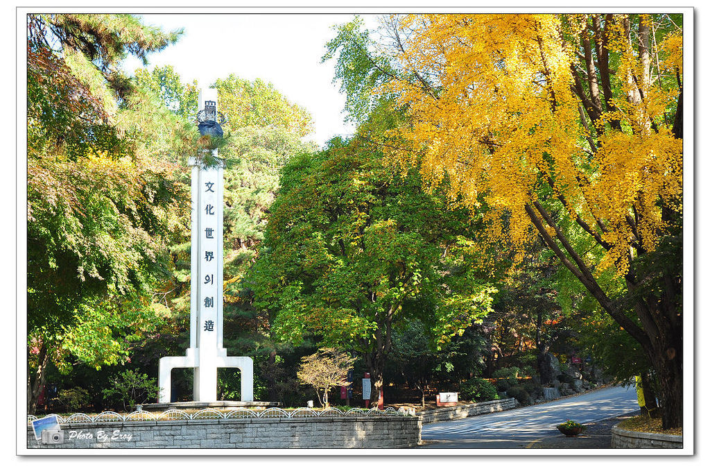 nEO_IMG_DSC_0104 nEO_IMG_DSC_0104