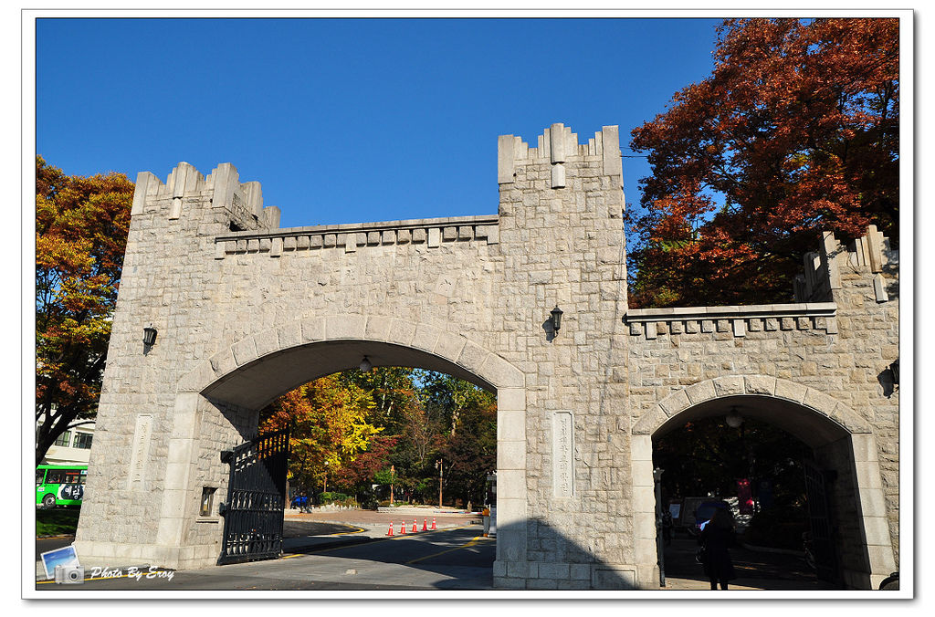 nEO_IMG_DSC_0109 nEO_IMG_DSC_0109