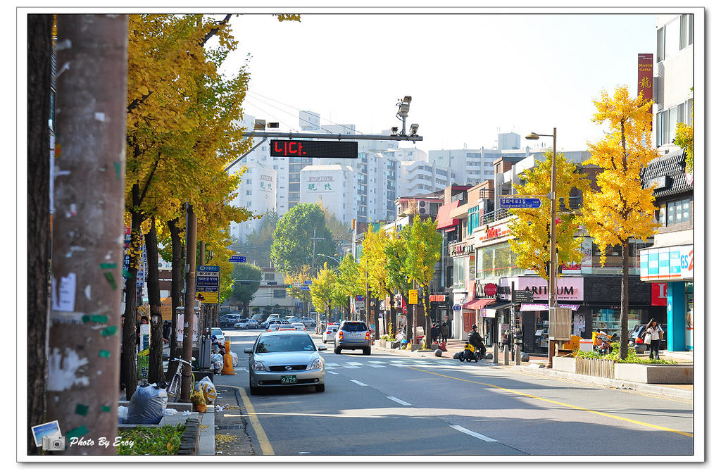 nEO_IMG_DSC_0111 nEO_IMG_DSC_0111