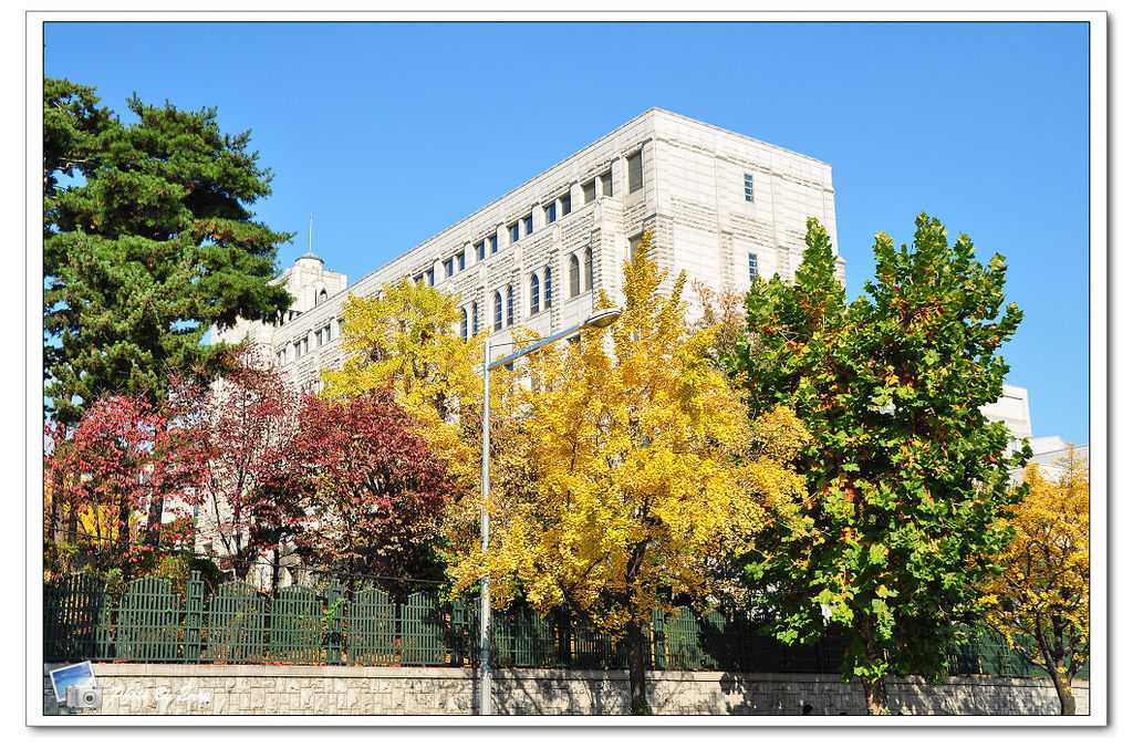 nEO_IMG_DSC_0197 nEO_IMG_DSC_0197