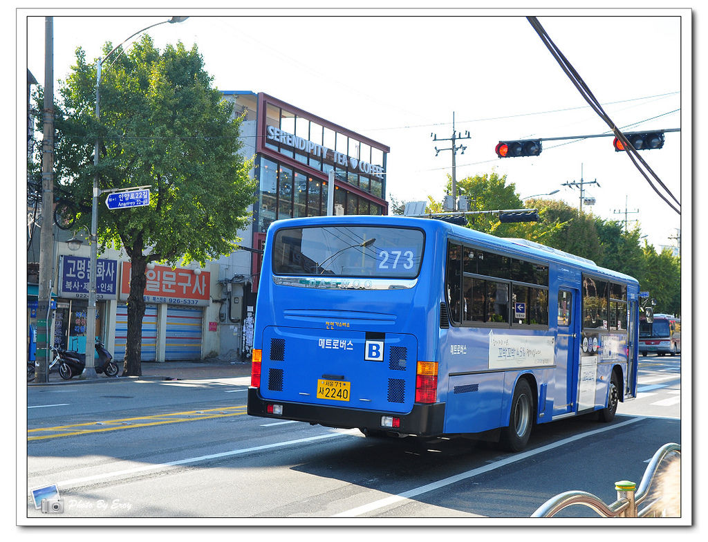 nEO_IMG_DSC_0118 nEO_IMG_DSC_0118