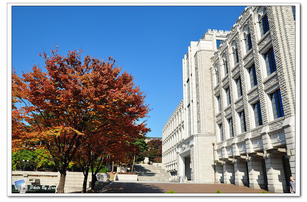 nEO_IMG_DSC_0123 nEO_IMG_DSC_0123