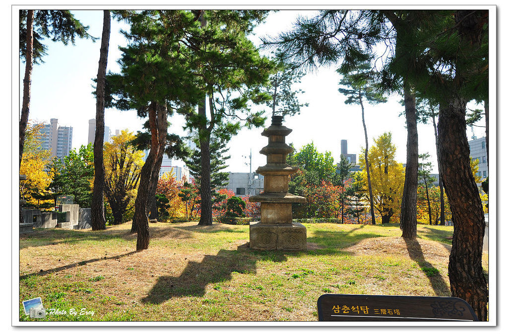 nEO_IMG_DSC_0126 nEO_IMG_DSC_0126