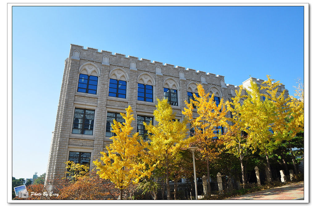 nEO_IMG_DSC_0130 nEO_IMG_DSC_0130