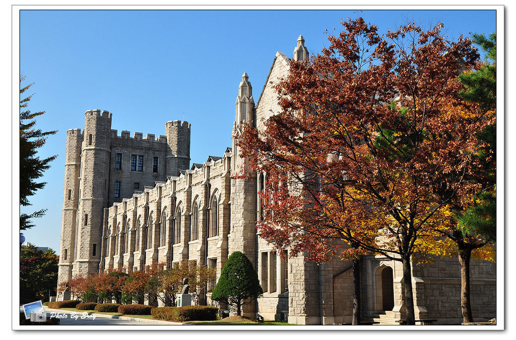 nEO_IMG_DSC_0135 nEO_IMG_DSC_0135