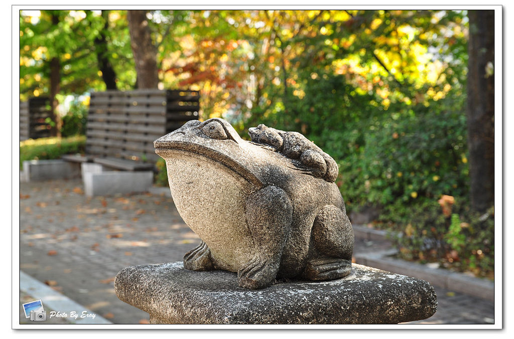 nEO_IMG_DSC_0139 nEO_IMG_DSC_0139