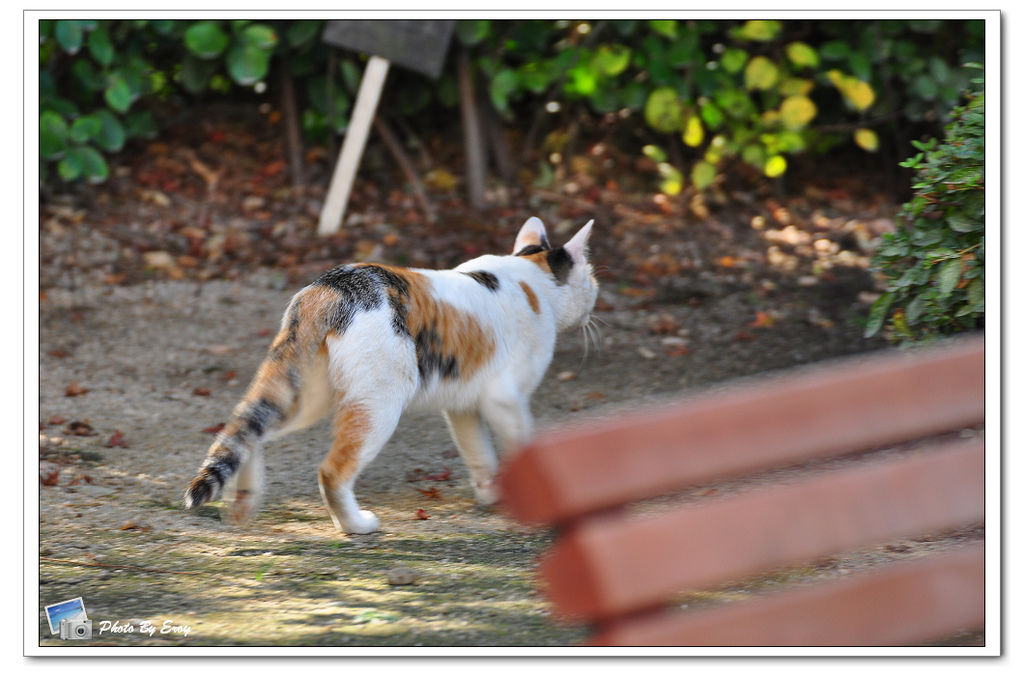 nEO_IMG_DSC_0149 nEO_IMG_DSC_0149