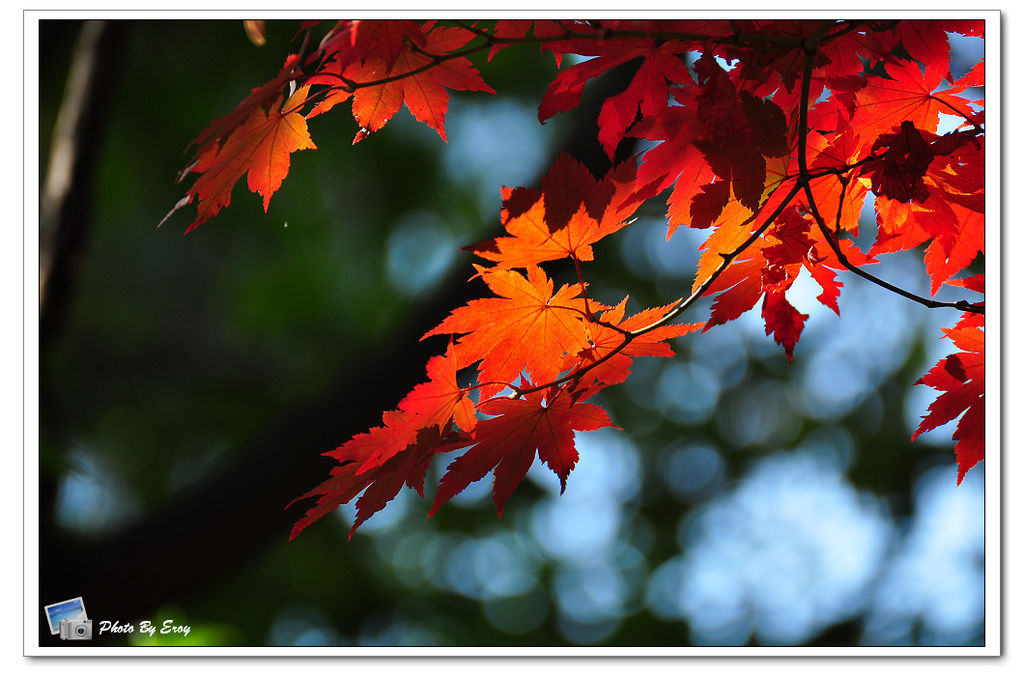 nEO_IMG_DSC_0156 nEO_IMG_DSC_0156