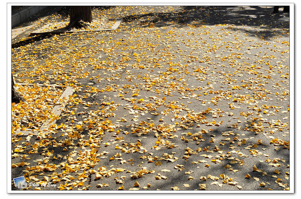 nEO_IMG_DSC_0163 nEO_IMG_DSC_0163