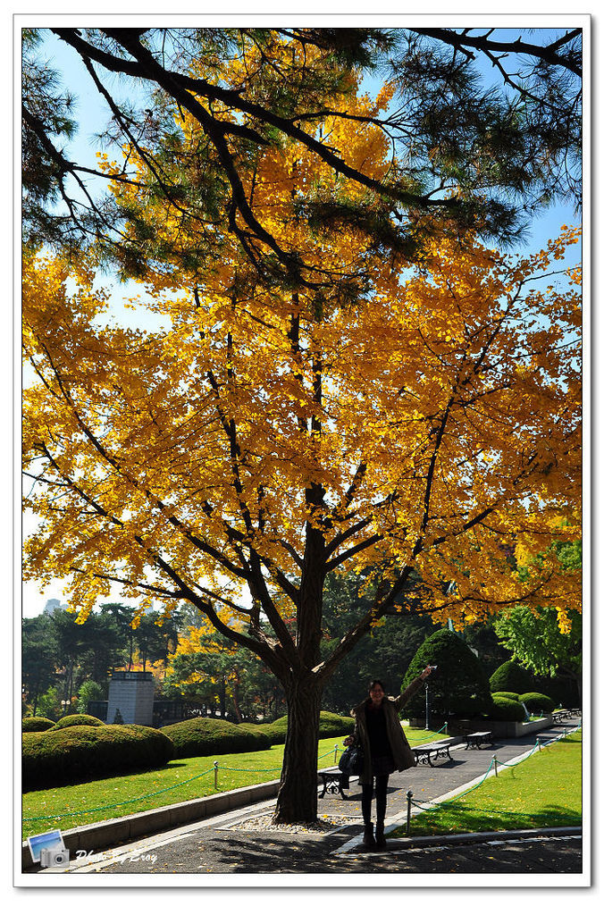 nEO_IMG_DSC_0166 nEO_IMG_DSC_0166