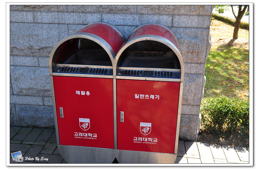 nEO_IMG_DSC_0174 nEO_IMG_DSC_0174