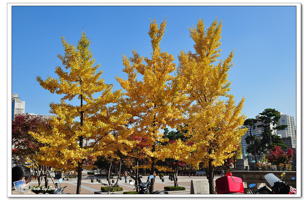 nEO_IMG_DSC_0175 nEO_IMG_DSC_0175