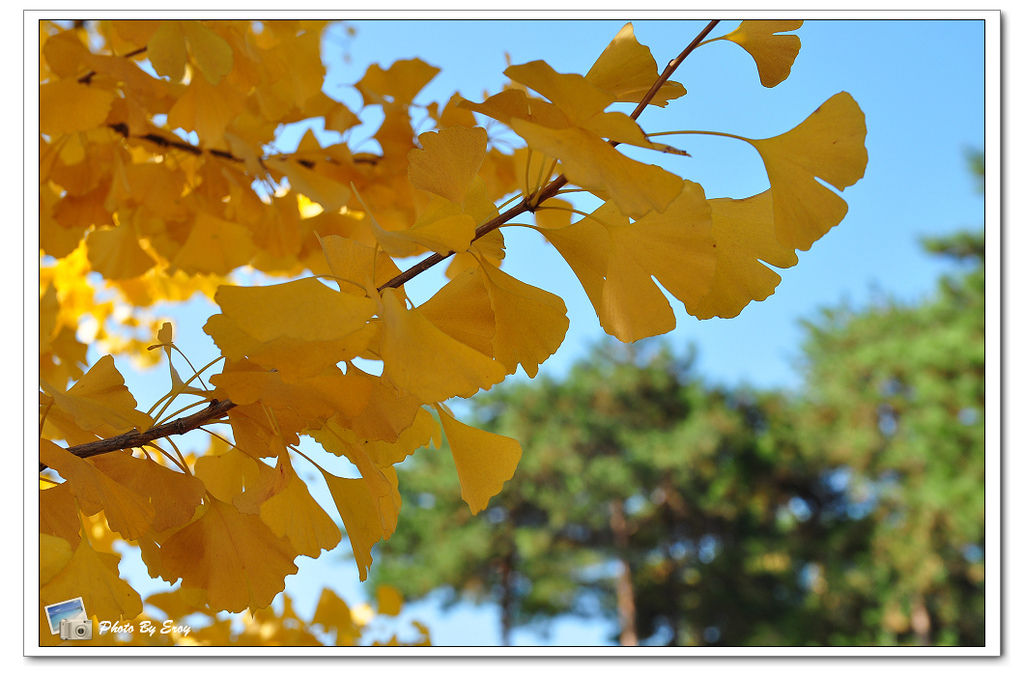 nEO_IMG_DSC_0180 nEO_IMG_DSC_0180