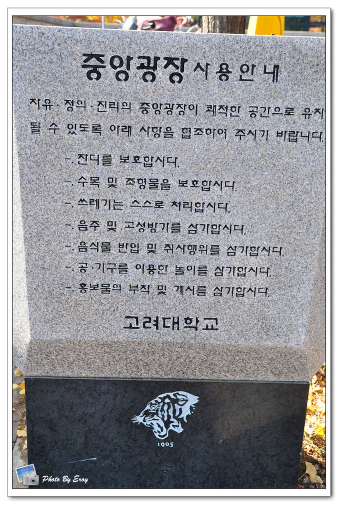 nEO_IMG_DSC_0181 nEO_IMG_DSC_0181