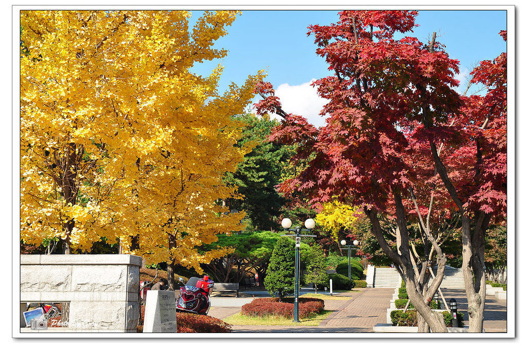 nEO_IMG_DSC_0183 nEO_IMG_DSC_0183