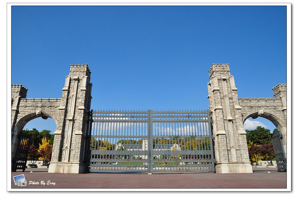 nEO_IMG_DSC_0195 nEO_IMG_DSC_0195