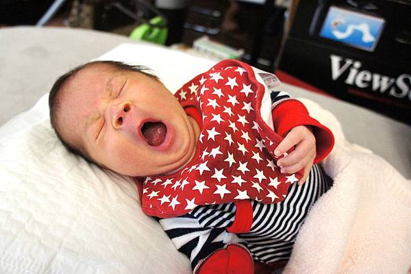 01DSC02187.jpg 01DSC02187.jpg