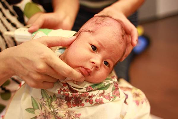 10IMG_0679.jpg 10IMG_0679.jpg