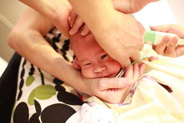 11IMG_0689.jpg 11IMG_0689.jpg