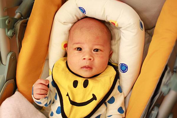 12IMG_0720.jpg 12IMG_0720.jpg