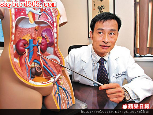 肚臍長出心臟 肚臍長出心臟