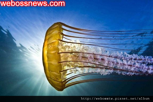 巨型手臂 nasa疑拍到外星母艦2