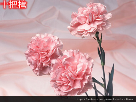 母親節禮物2
