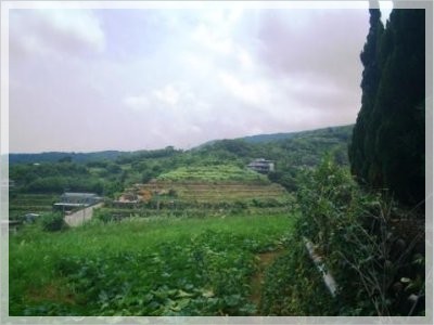 三芝一畝田美地1.jpg 三芝一畝田美地1.jpg