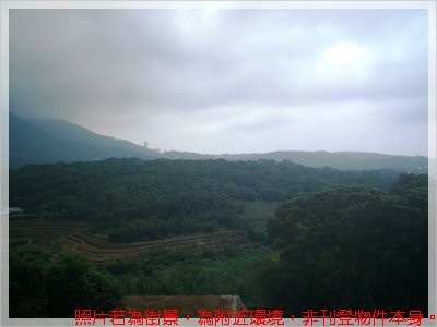 新林路景觀農地 新林路景觀農地