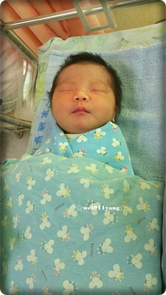 DSC_3031.jpg DSC_3031.jpg