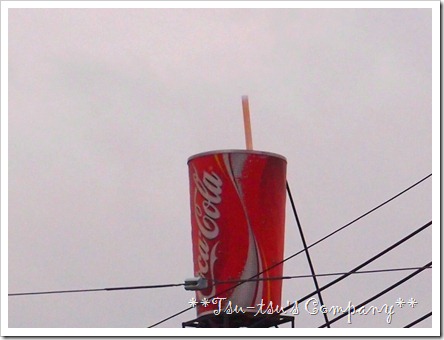 P6010703 P6010703