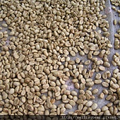 主任家的有機咖啡