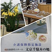 2014-07-08-08-47-20_deco[1]