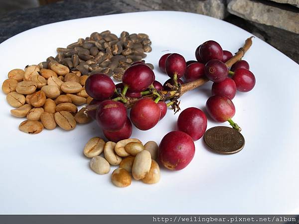 司主任家的有機咖啡