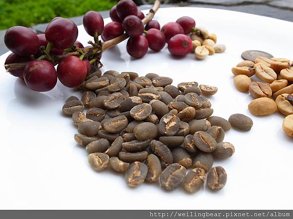 司主任家的有機咖啡