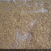 主任家的有機咖啡