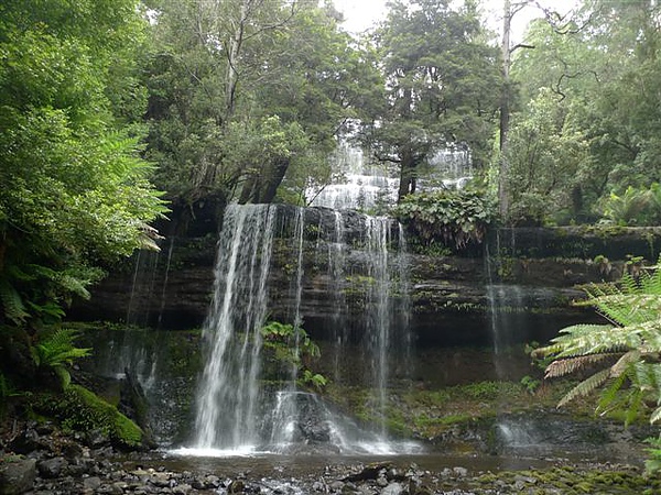 D291Russell Falls.JPG