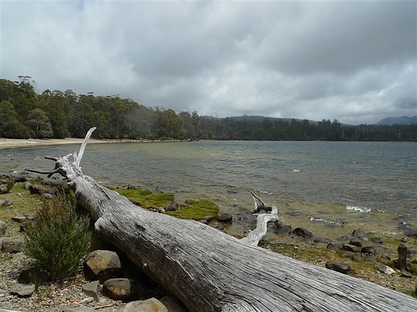 D291Lake St Claire.JPG