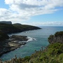 D296Remarkable Cove.JPG