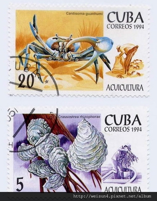 C0498_Cuba_1994 C0498_Cuba_1994