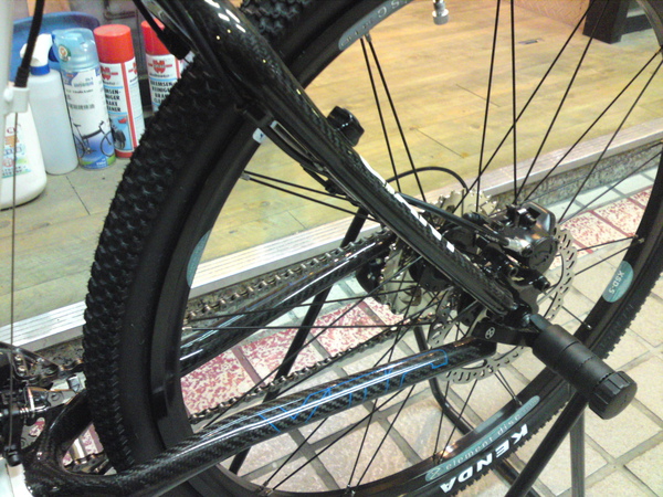 HB3 碳纖維後剎.JPG